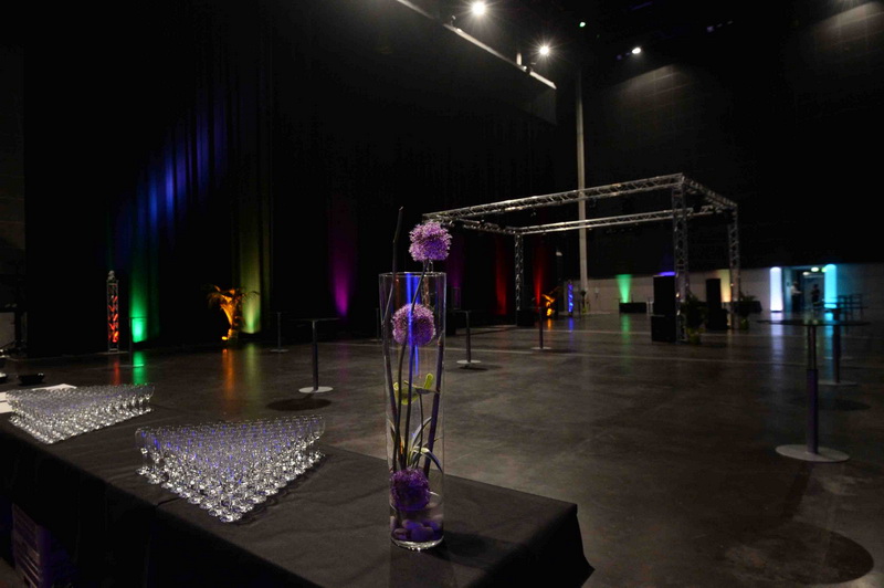 Zenith Saint Etienne