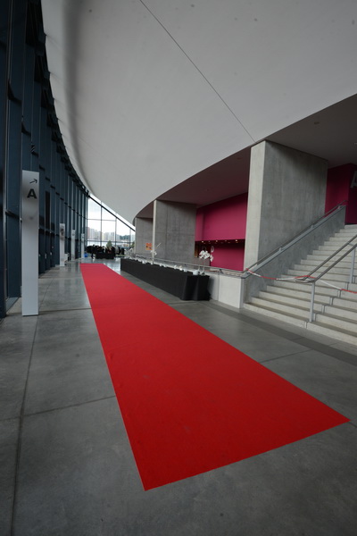 Zenith Saint Etienne