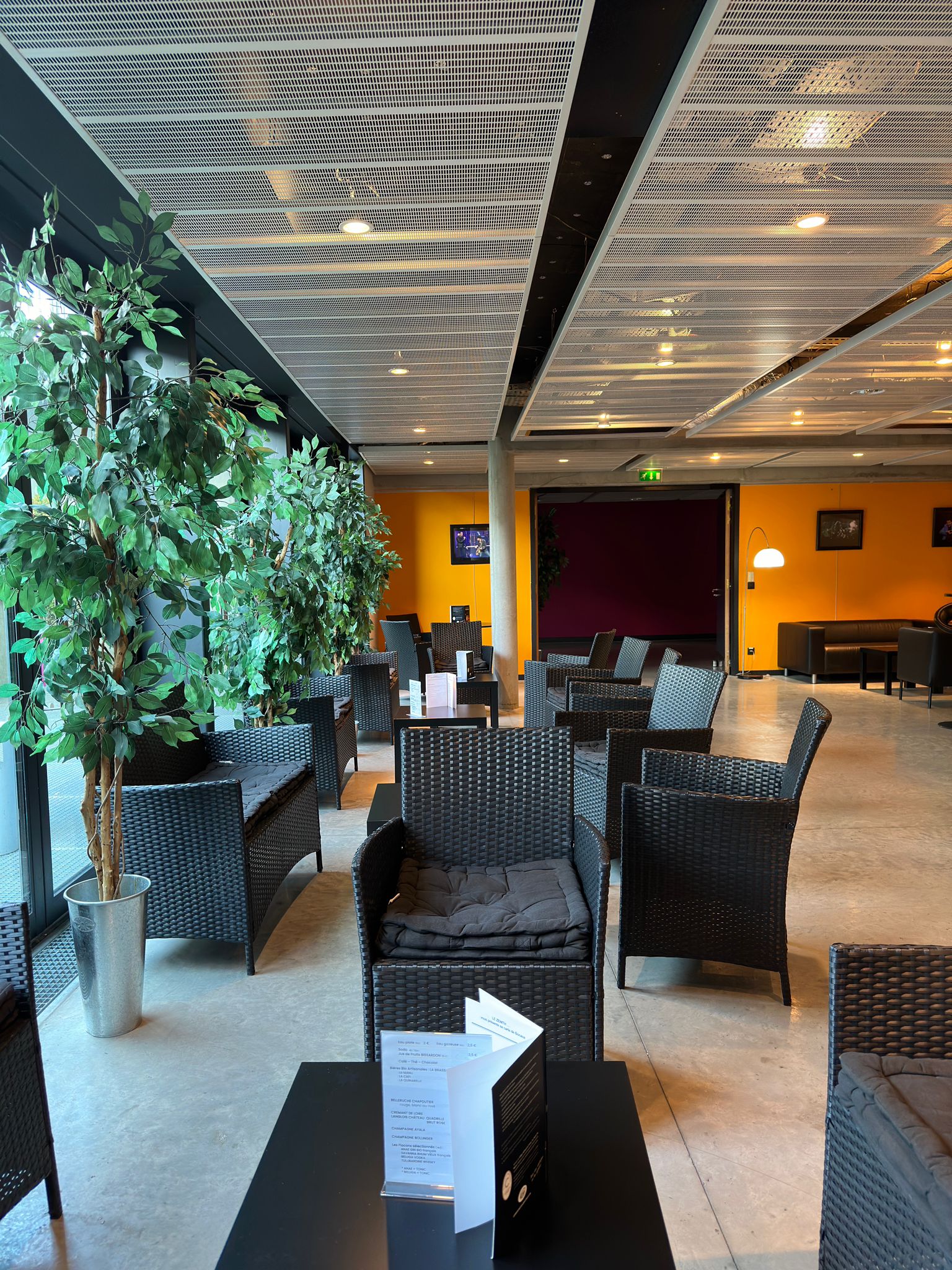 Zenith Saint Etienne