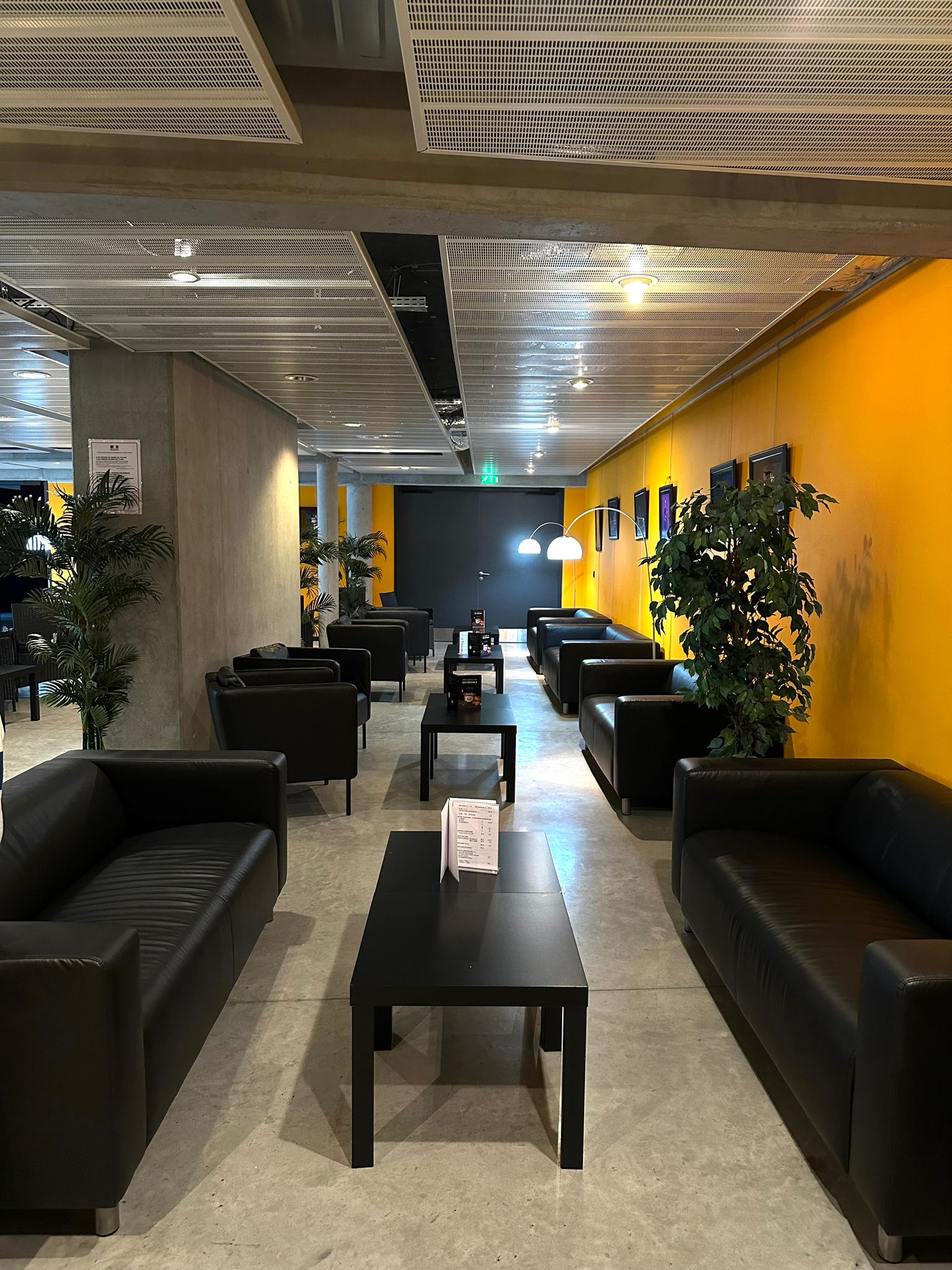 Zenith Saint Etienne